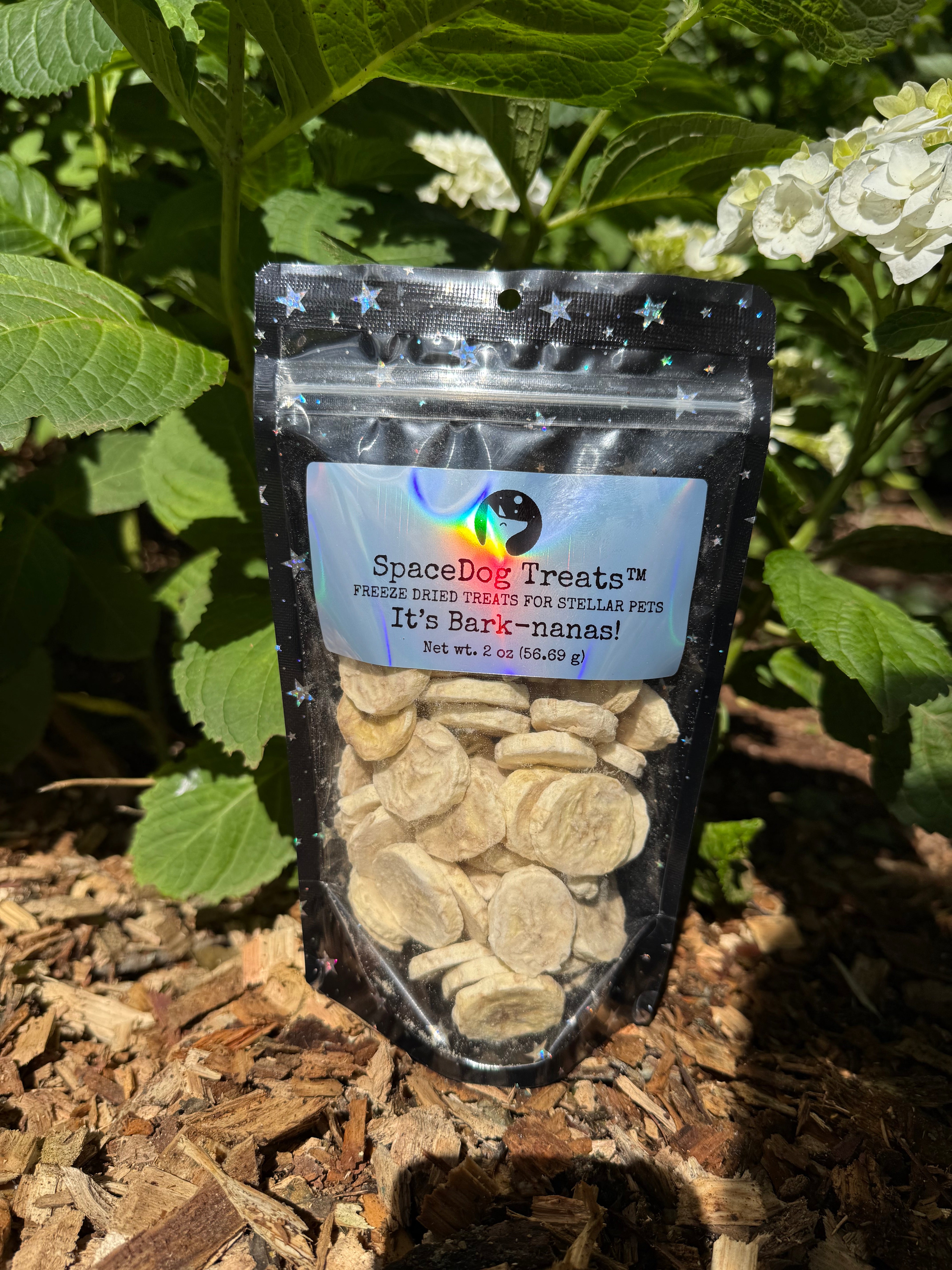 ドッグフード Saru Santastic It's Bark-nanas! – SpaceDog Treats LLC