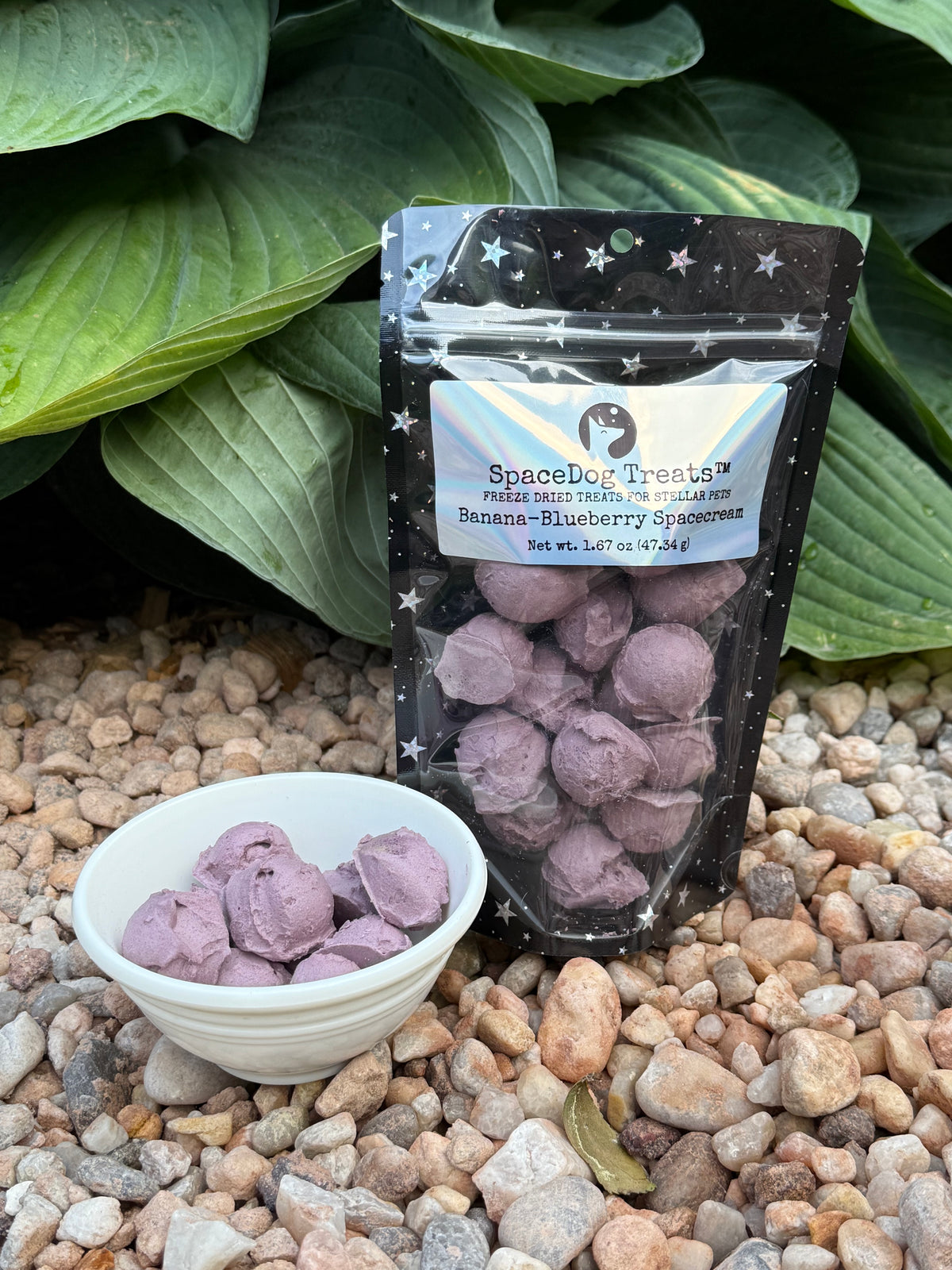 Banana-Blueberry Spacecream