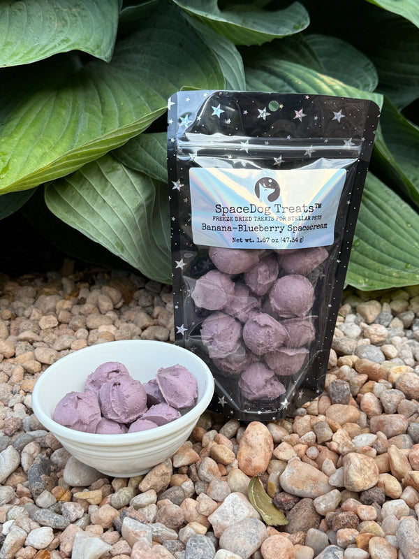 Banana-Blueberry Spacecream