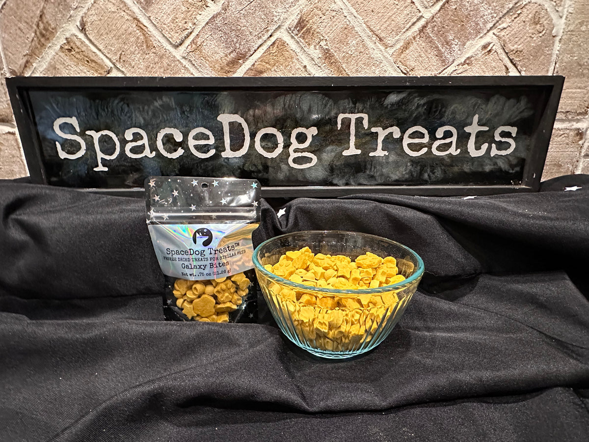 Salmon Galaxy Bites
