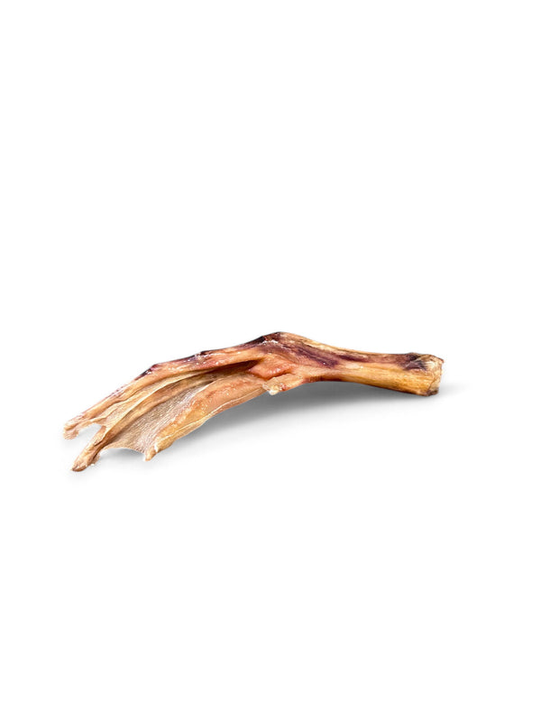 Duck Feet